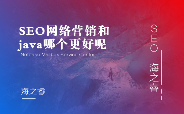 SEO网络营销和java哪个更好呢