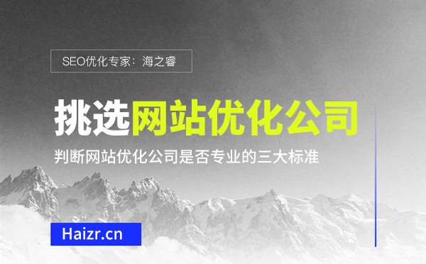 判断网站优化公司是否专业的三大标准